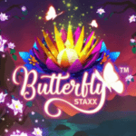 Butterfly Staxx FI logo