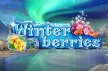 winterberries-logo1