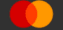 Mastercard FI 100x48
