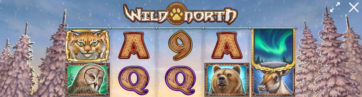 Wild North Teema ja Grafiikat