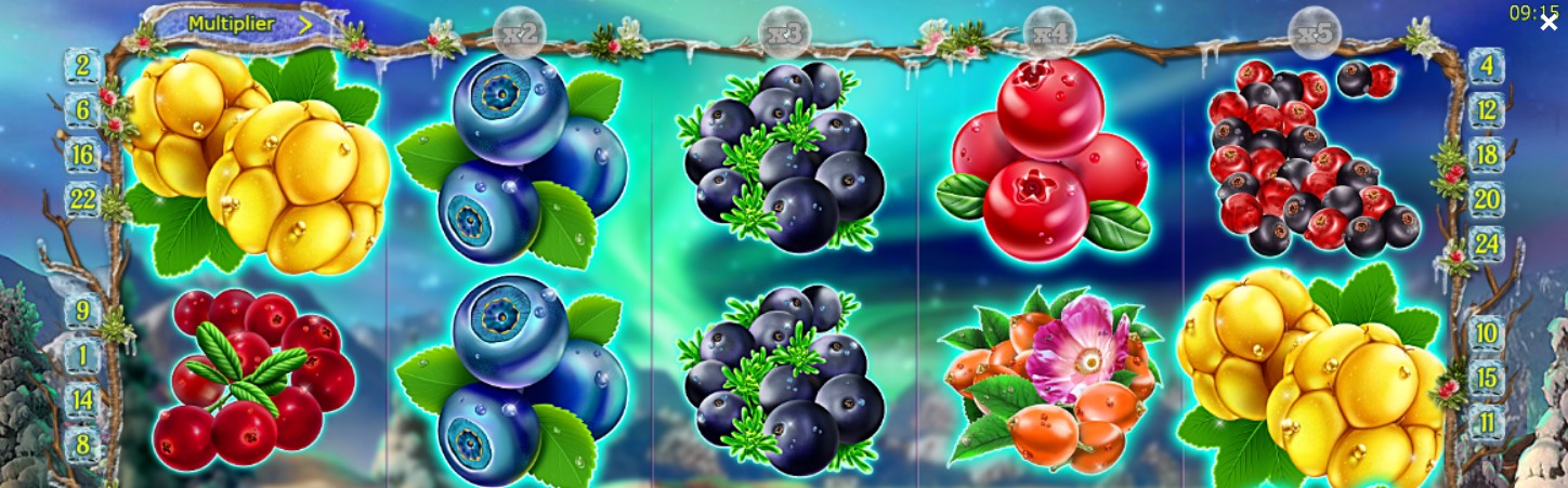 Winterberries Teema ja Grafiikat